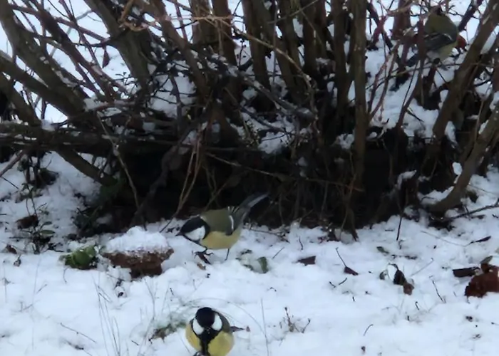The Luna Lounge, With Sauna *