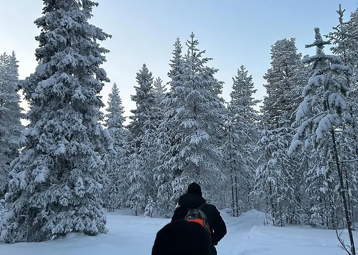 The Luna Lounge, With Sauna * 罗瓦涅米